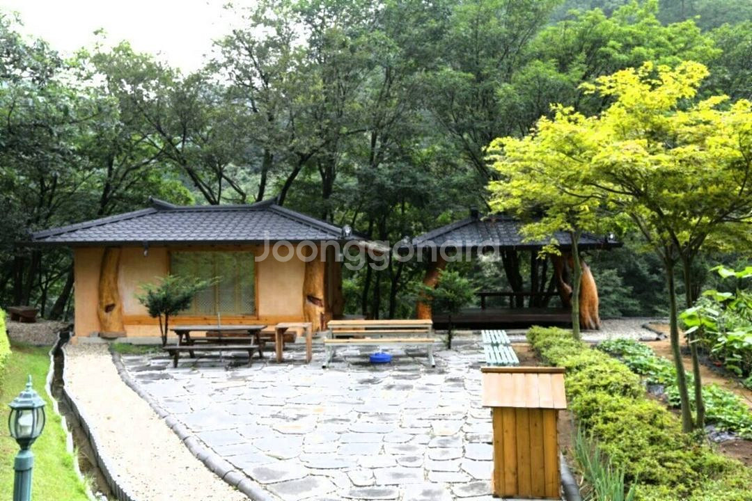 담서원(에어비앤비 인기숙소) 숙박 숙소 여행 관광 캠핑--3