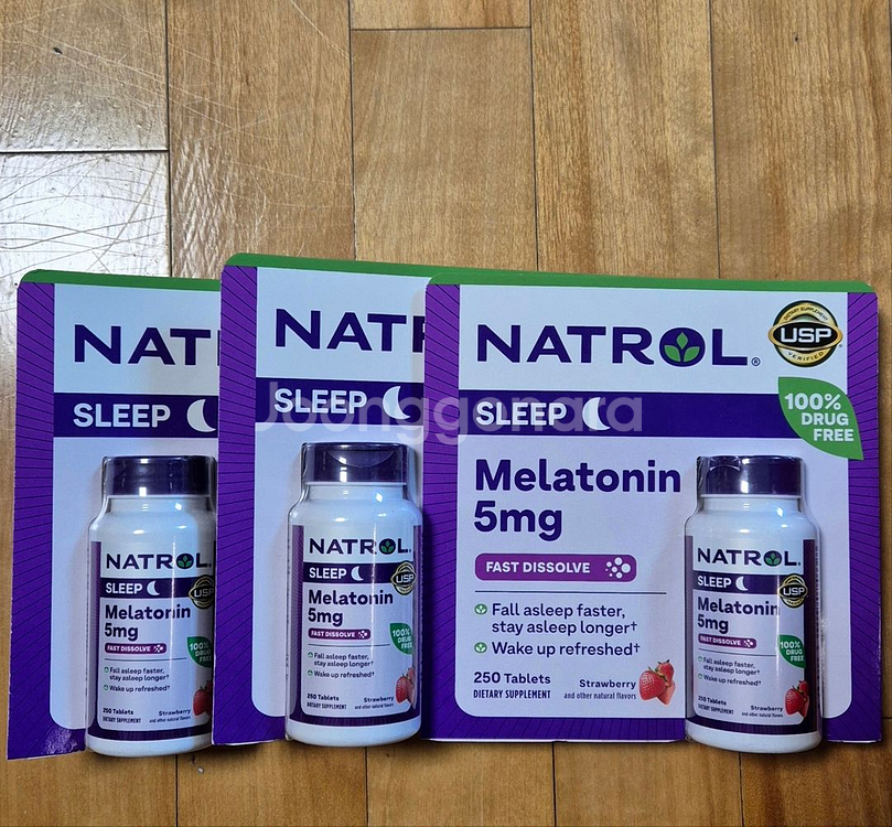 식물성 메라토닌 정--0