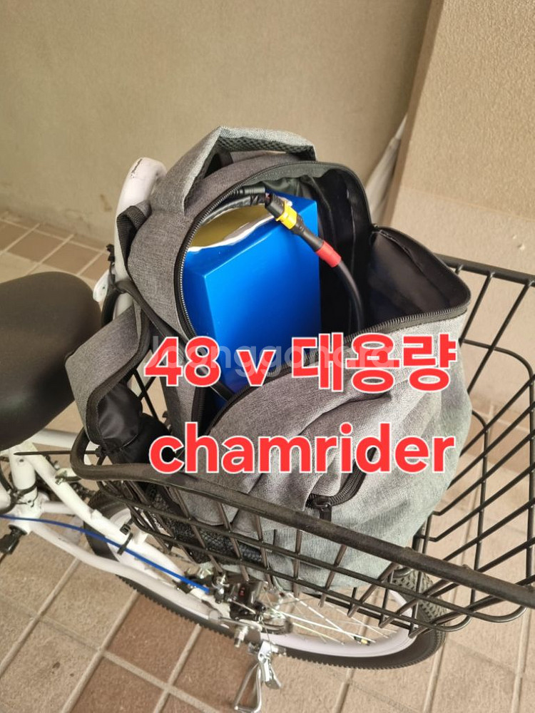 2인용 전기자전거 24인치--1