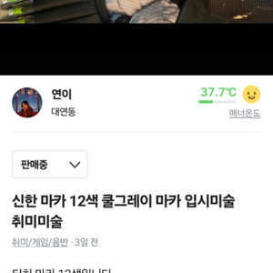 신한 그레이 마카 12색