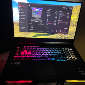 ASUS ROG Strix G713IE 게이밍 노트북