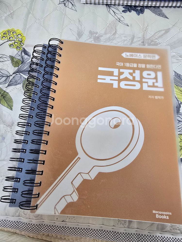 국정원(국어 1등급을 정말로 원한다면) 문학 편 스프링--0