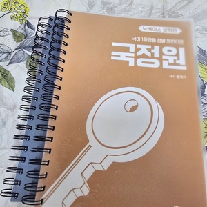 국정원(국어 1등급을 정말로 원한다면) 문학 편 스프링