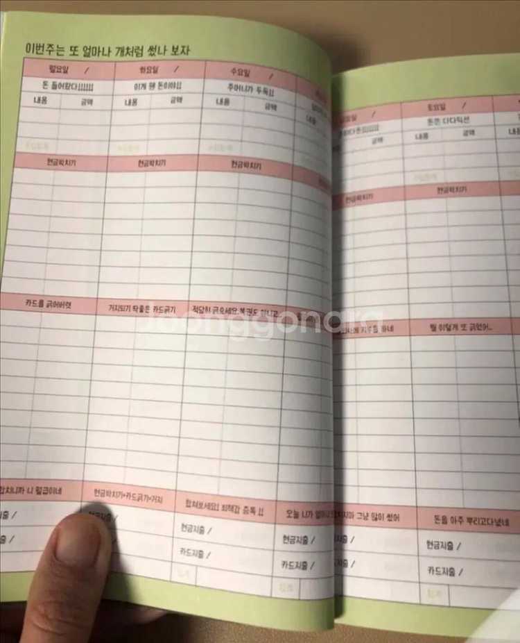 돌직구 재미있는 동기부여 가계부--1