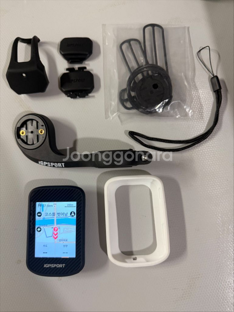 속도계 IGP sports bsc300t 팝니다--0