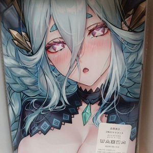 Fate/GrandOrder 티아마트 다키마쿠라커버
