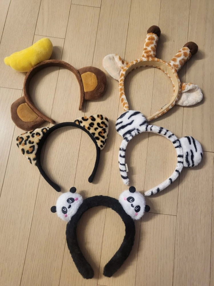 사파리의상 대여해드려요 이미지