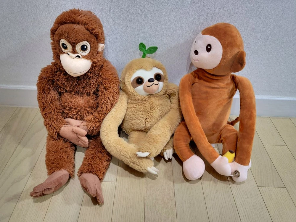 사파리의상 대여해드려요 이미지