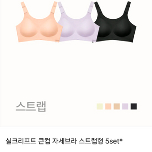 큰컵 자세브라 스트랩형 S+ 5set