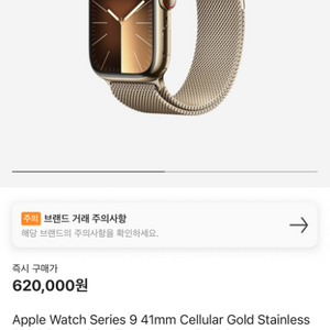 애플워치9 41 골드 스테인리스 밀레니즐루프