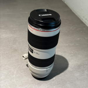 EF 70-200 2.8 새아빠백통