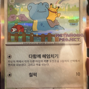 메타몽 카드 판매합니다 (미개봉)