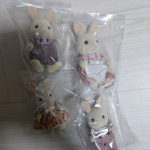 실바니안 토끼