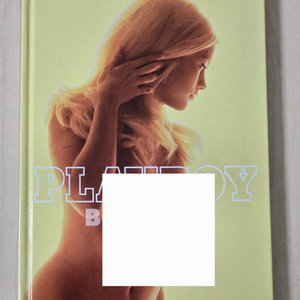 플레이보이 PLAYBOY 화보집 3권