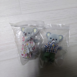 실바니안 코알라