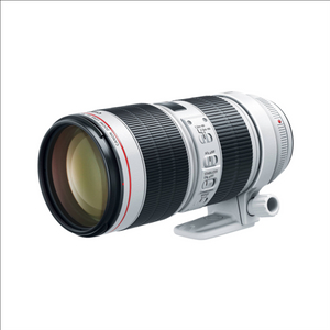 캐논 EF 70-200mm F2.8L IS 아빠백통구함