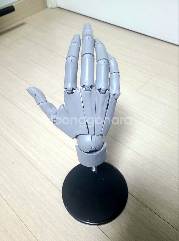 손 모형--0