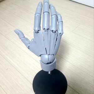 손 모형