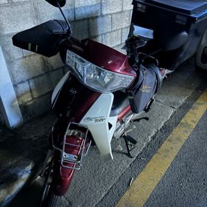 시티베스트115