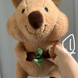 인형 팔아요 많아요