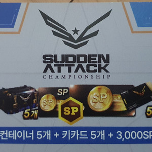 서든어택 컨테이너5개 키카드5개 3000sp