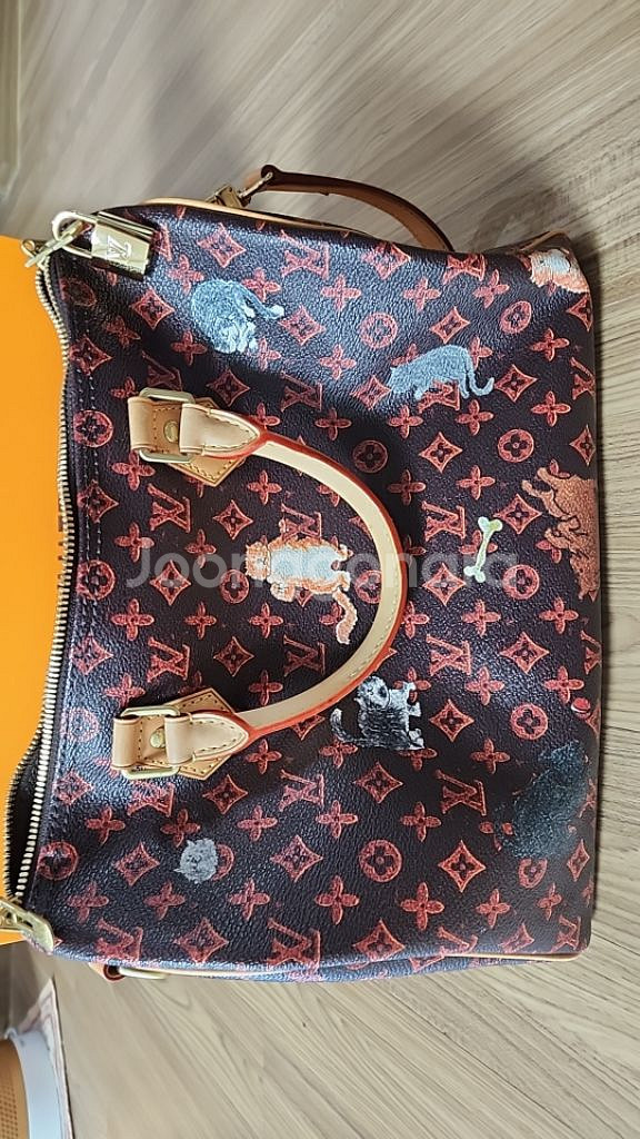 루이비통 고양이 반둘리에백--1