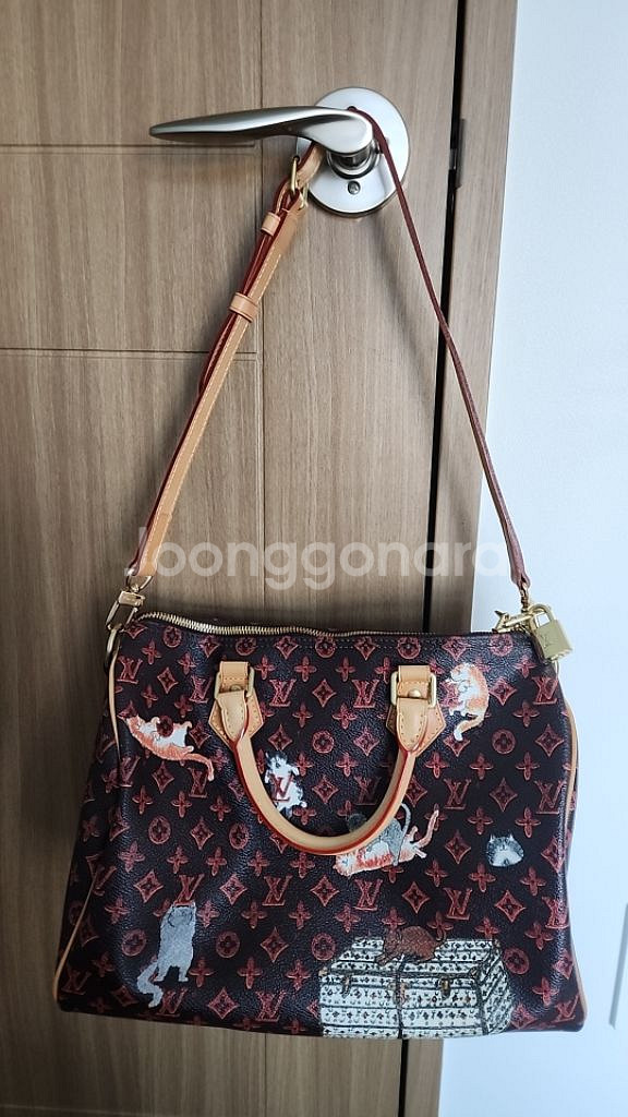 루이비통 고양이 반둘리에백--6