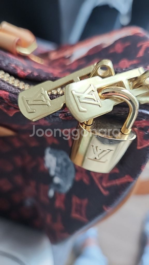 루이비통 고양이 반둘리에백--8