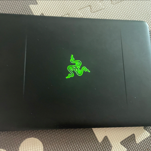 레이저 블레이드 gtx1060 노트북
