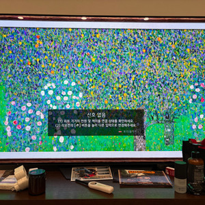 LG 65인치 OLED(OLED65bxfna)