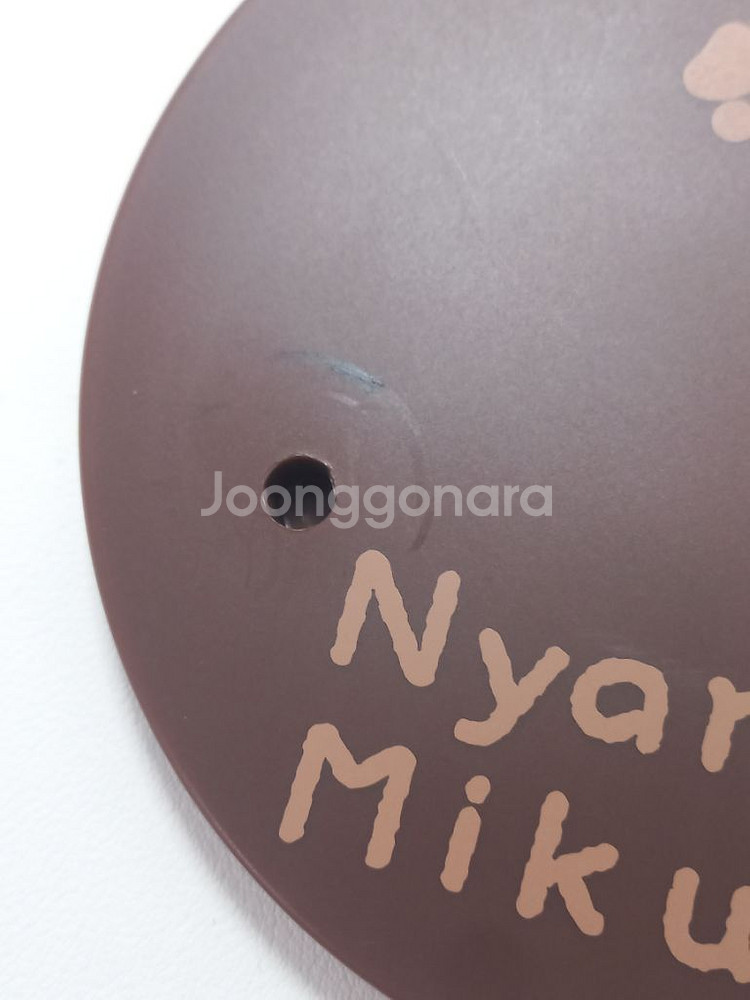 급처 보컬로이드 보카로 하츠네미쿠 아기고양이 피규어--1