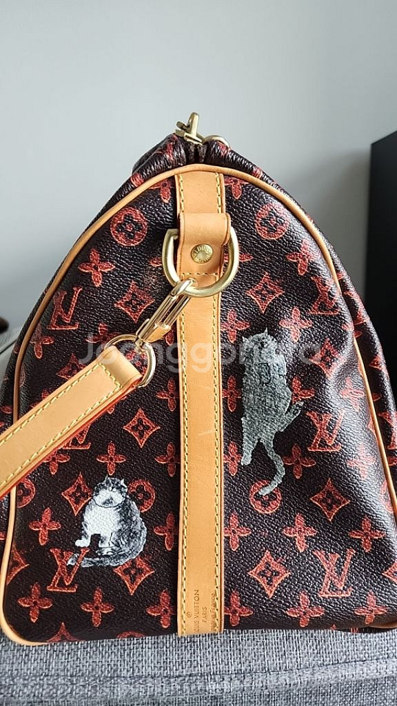 루이비통 고양이 반둘리에백--9