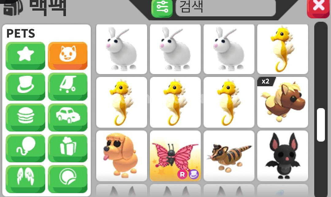 입양하세요 펫 팔아요--3