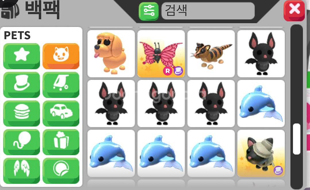 입양하세요 펫 팔아요--4