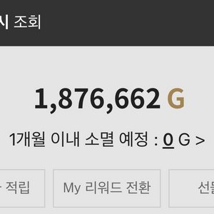 갤러리아 G캐시 1,876,662원