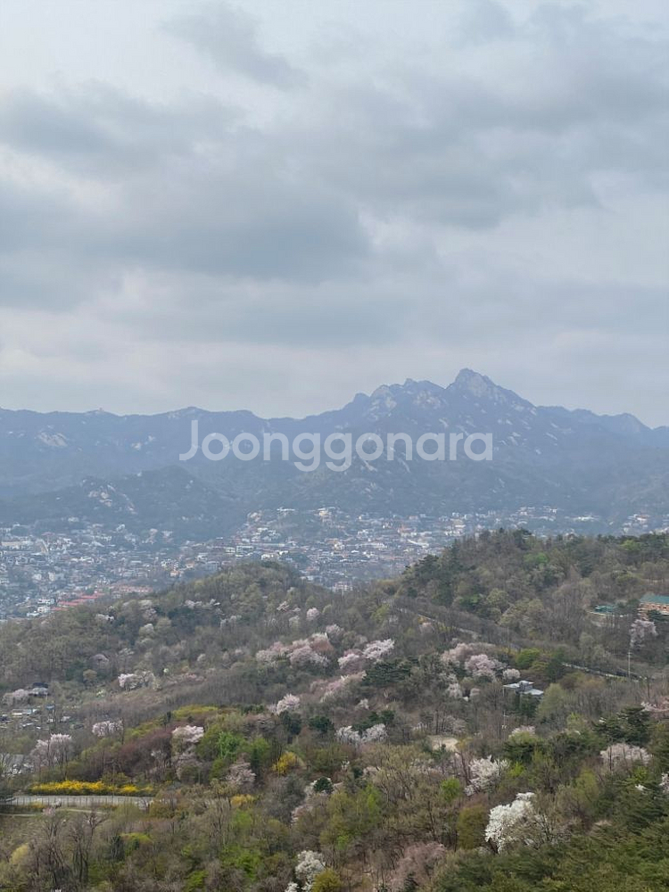 아이폰16프로 128기가 판매--0