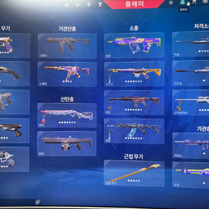 발로란트 계정 판