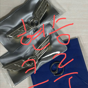 대한항공 2025 파일럿 기장 배지