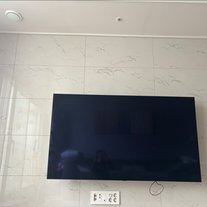 LG OLED 65인치 TV