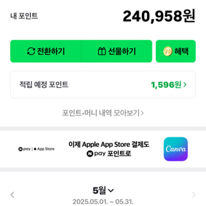 네이버 페이 포인트 24만원