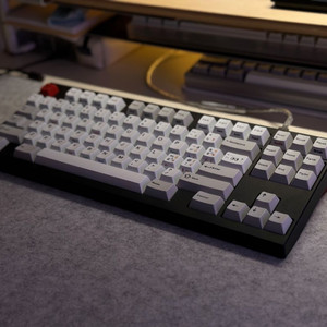 F1-8X V2 랩터 WKL