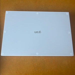 LG 그램