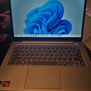 씽크북 14인치 5800u 16gb 256gb