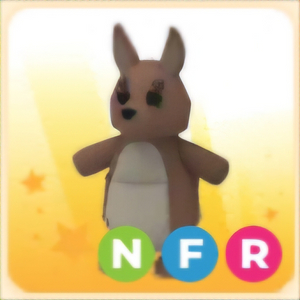 입양하세요 NFR 캥거루