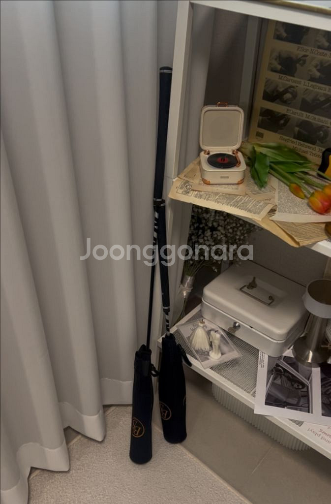BS 골프 비거리 스틱 세트 롱 숏 스윙기 연습기--0