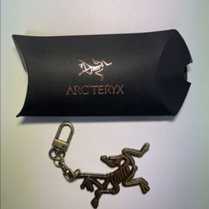 아크테릭스 키링