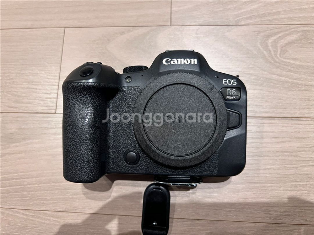EOS R6 mark2--0