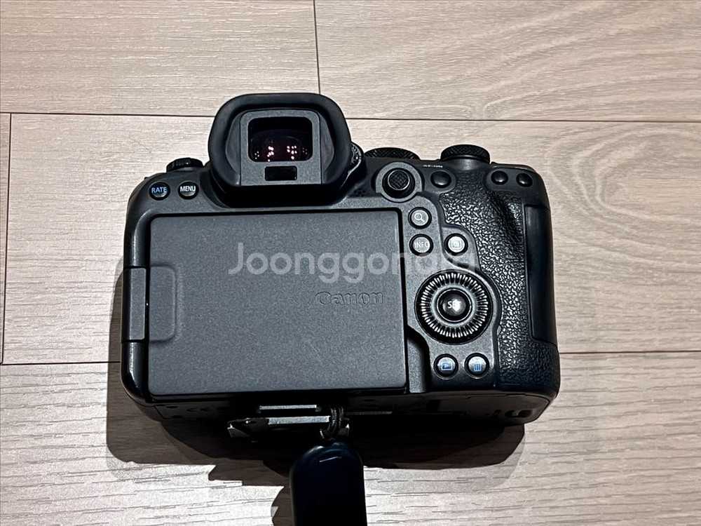 EOS R6 mark2--4