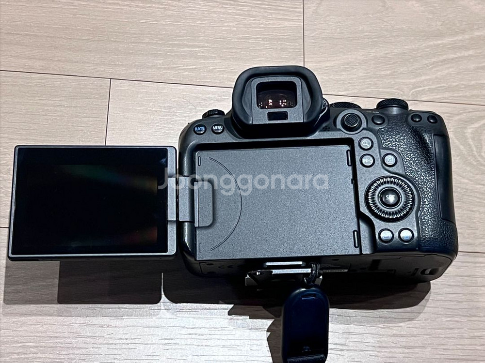 EOS R6 mark2--3