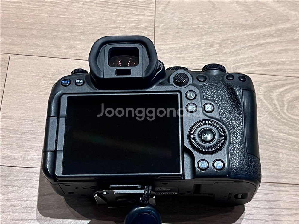 EOS R6 mark2--2
